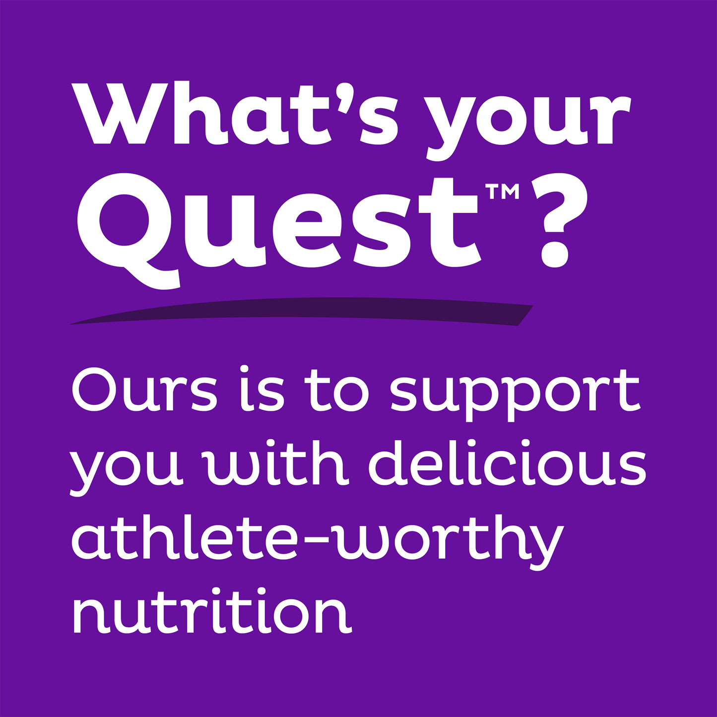 double-chocolate-chunk-protein-bars-i9 qst-000241_double-chocolate-chunk-protein-bars_9.png